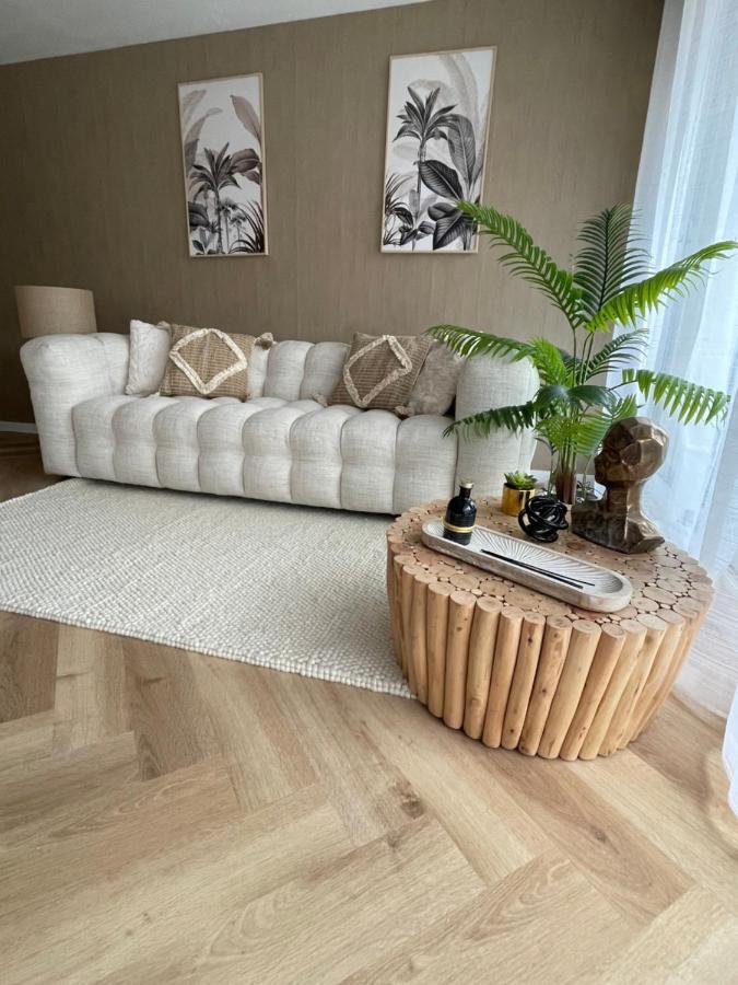 شقة New Cosy Flat Saint Tropez المظهر الخارجي الصورة